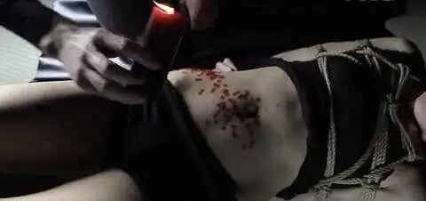 西檬之家ddlg是什么?如何理解你的字母圈身份与属性 一