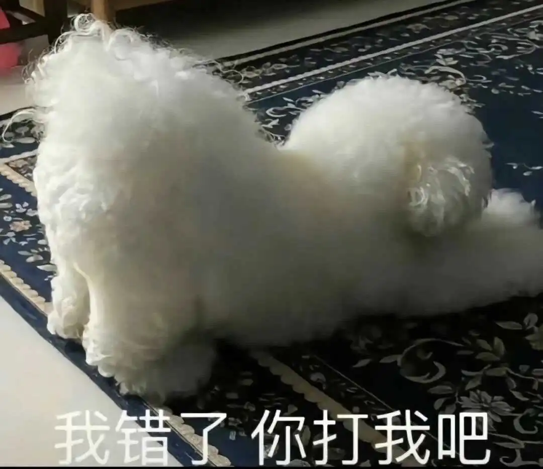 西檬之家字母圈的大圈是什么?探索你未知的支配与臣服世界 一