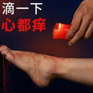 西檬之家K9是什么?字母圈新人入圈指南 一