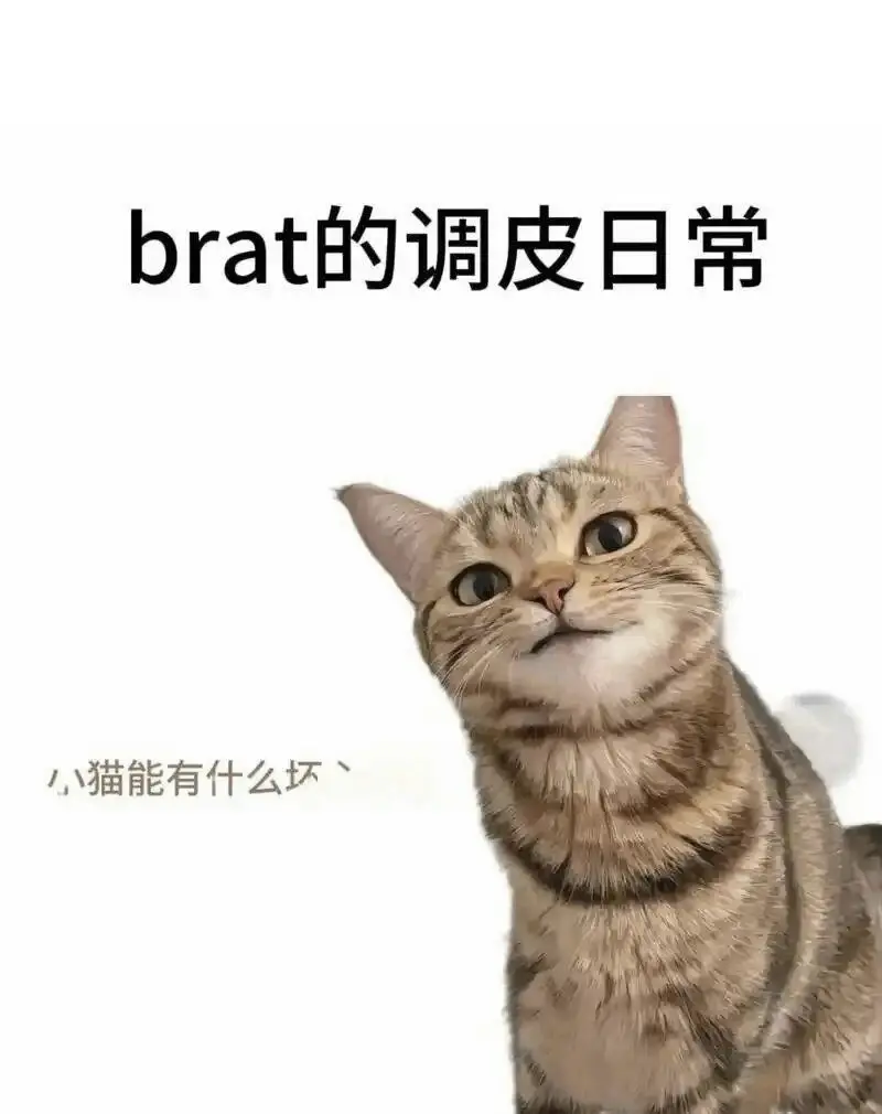 西檬之家字母圈ds关系入门指南 一