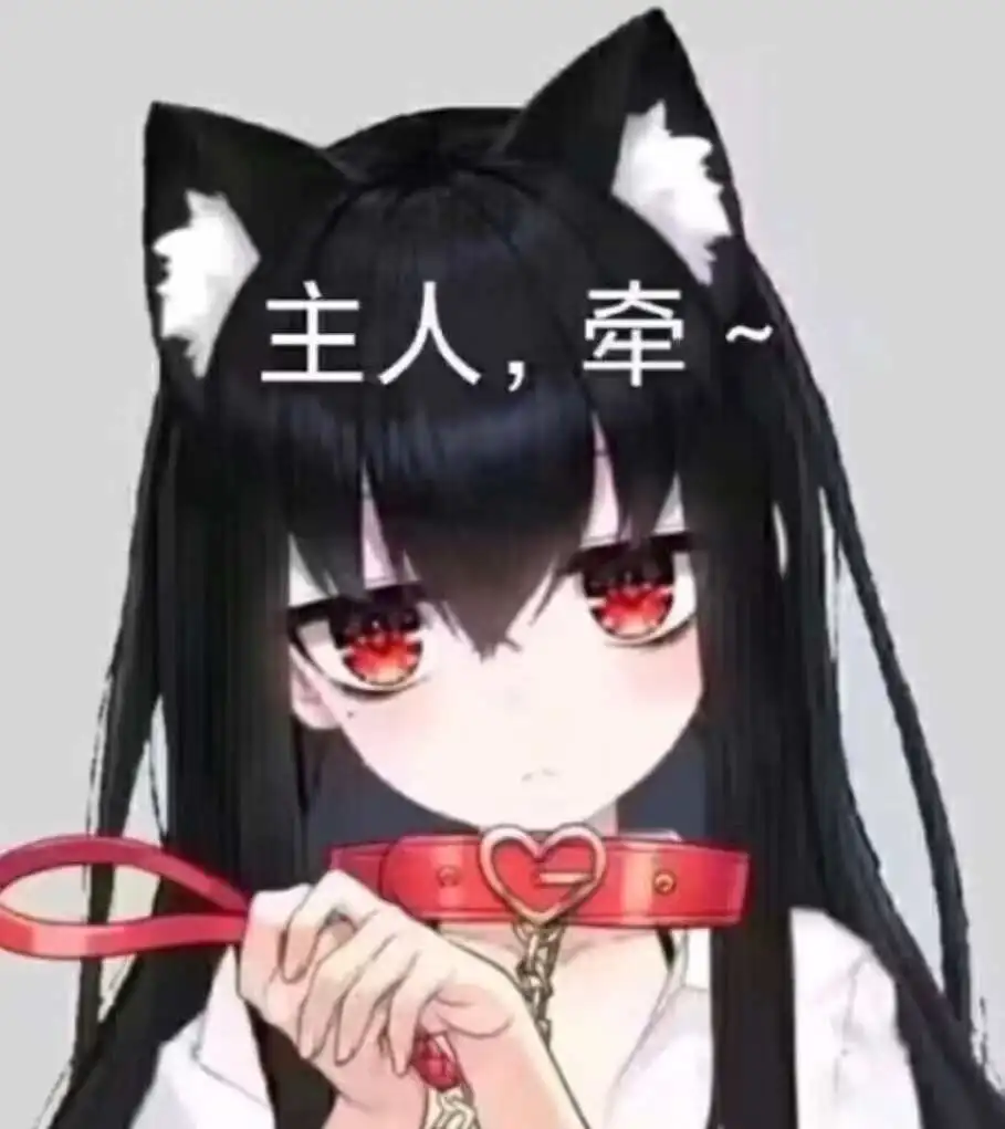 西檬之家k8是什么?BDSM圈内术语科普指南 一