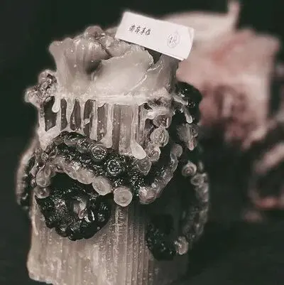 西檬之家s属性是什么?你的字母圈属性是什么? 一