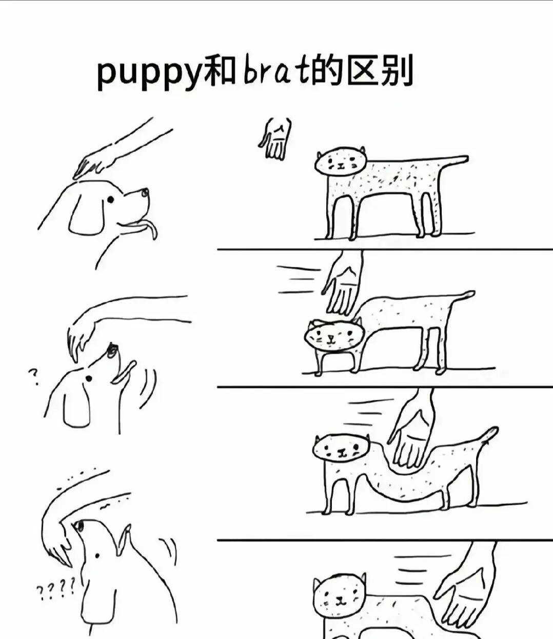 西檬之家字母圈入圈新人必看:这些基础常识你必须知道! 一