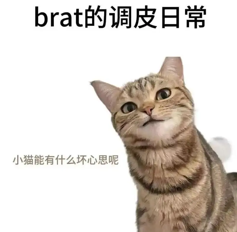 西檬之家Dirty Talk是什么?字母圈新人入圈指南 一