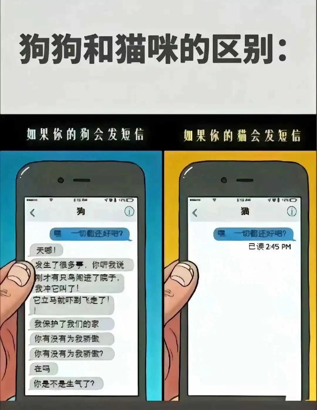 西檬之家字母圈是什么意思 一